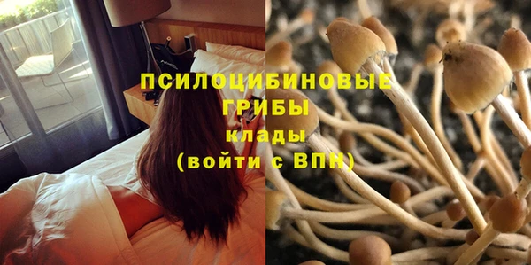 амф Балабаново
